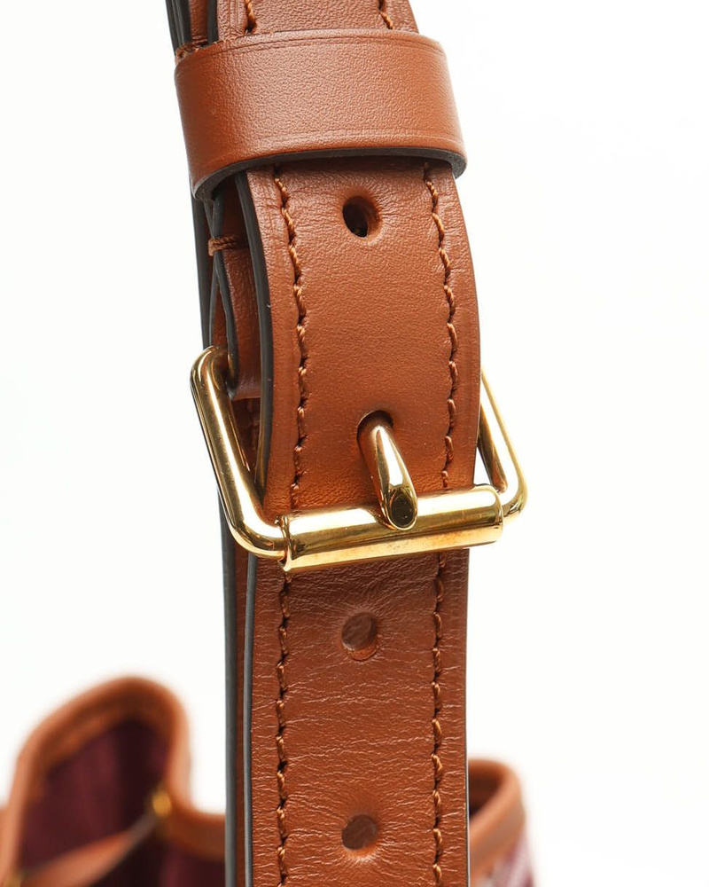 Louis Vuitton Noé Petit Bordeaux Since 1854 Bag