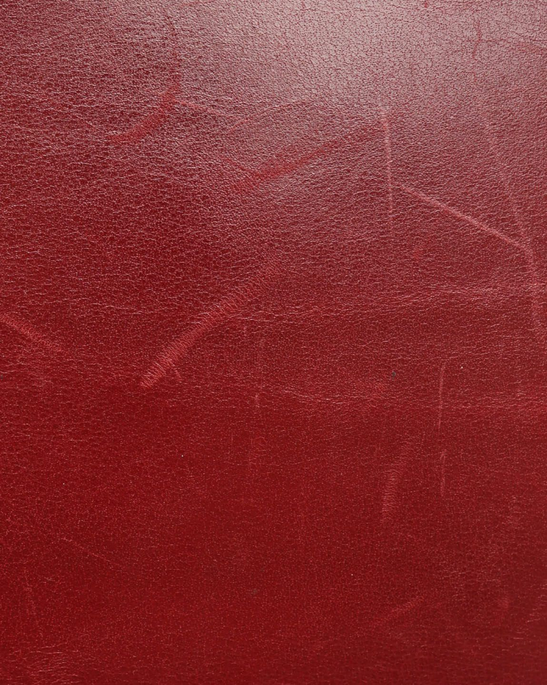 Celine Céline Horse Carriage Bag