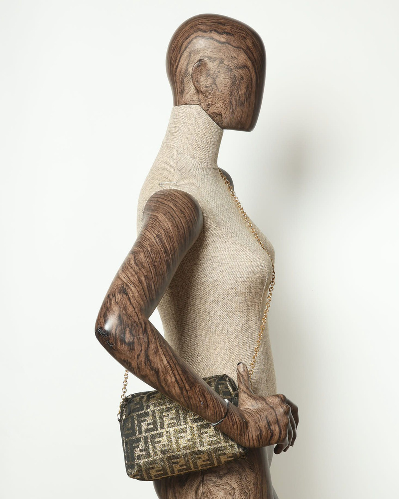 Fendi Zucca Chain Crossbody Bag