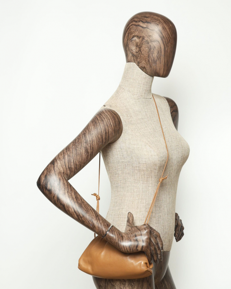 Bottega Veneta Mini The Pouch Bag