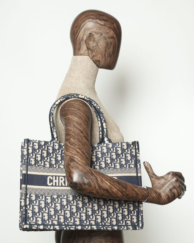 Christian Dior Medium Oblique Book Tote Bag