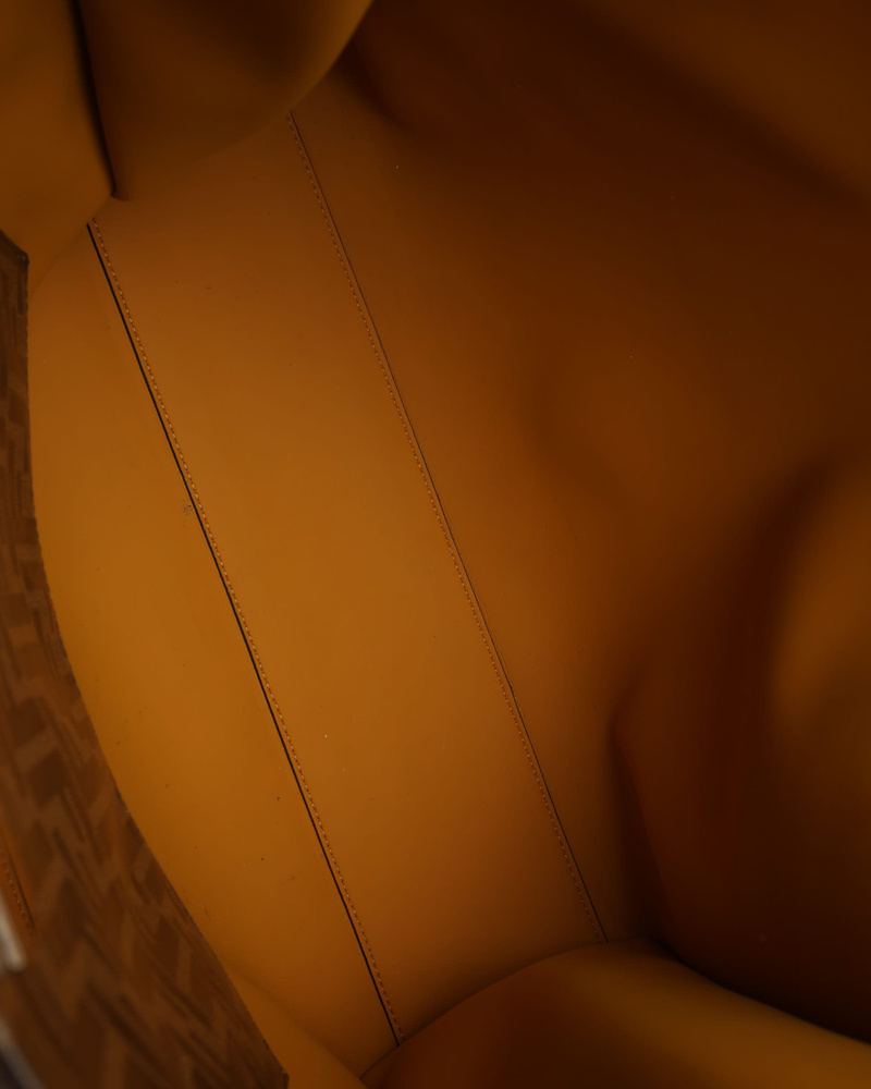 Fendi X-Lite Fit Peekaboo Business Bag Bag