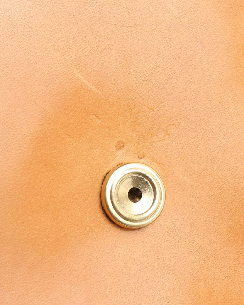 Louis Vuitton Nomad Saint Cloud MM Bag