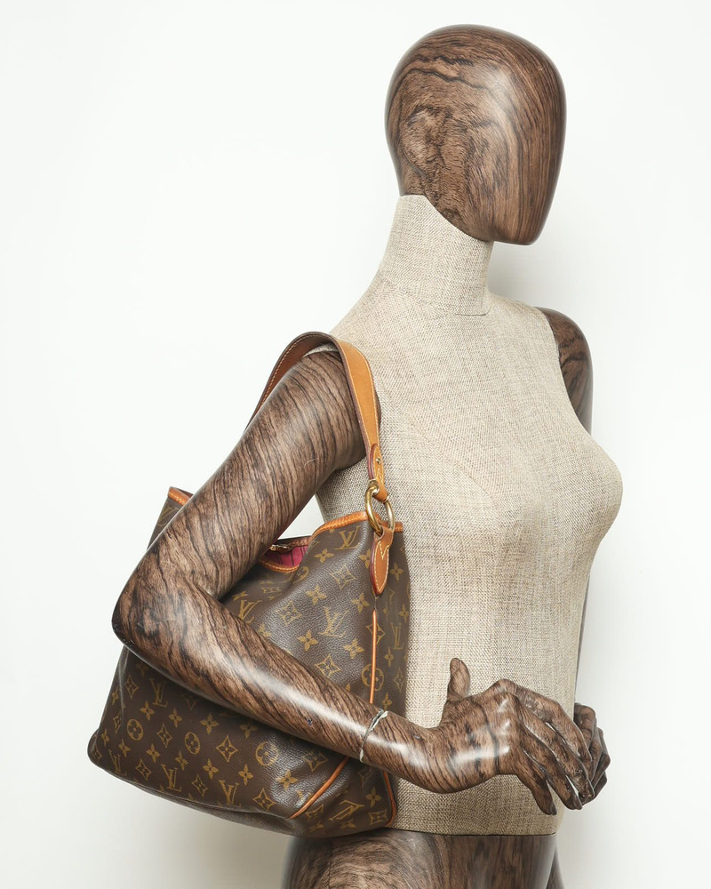 Louis Vuitton Monogram Delightful PM Bag