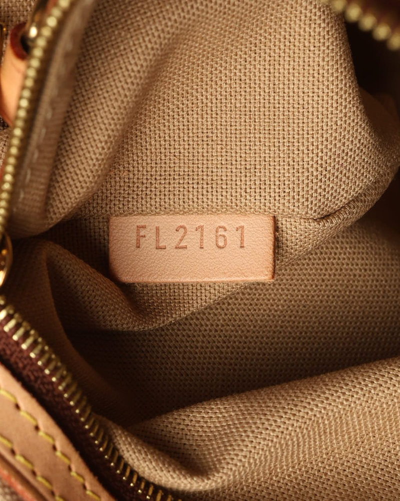 Louis Vuitton Monogram Delightful PM Bag