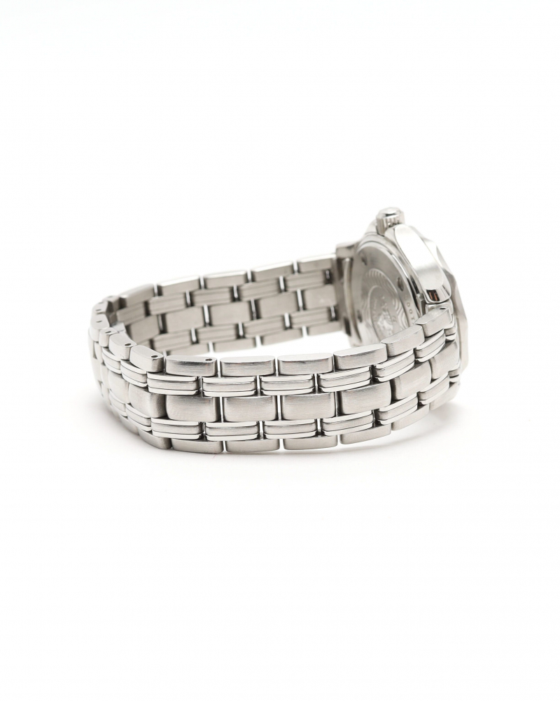 Omega Seamaster 300M 29mm Ref 2584.41 Jacques Mayol 1996 Watch