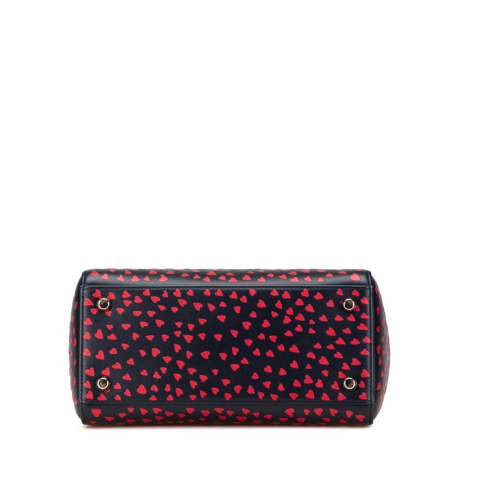 Christian Dior AB Dior Blue Navy Calf Leather Medium skin I Love Paris Lady Dior Italy