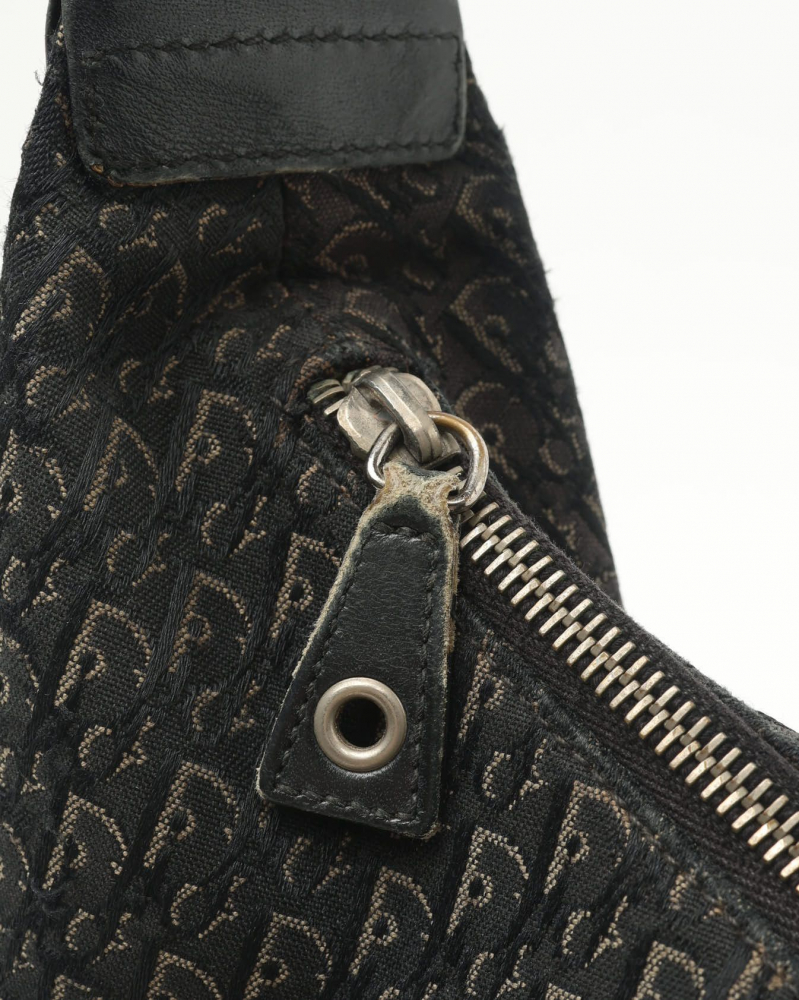 Christian Dior Street Chic Hobo Bag