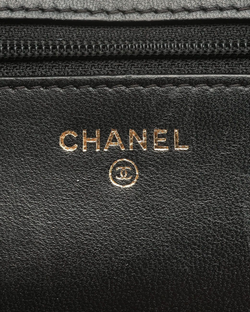 Chanel Trendy Wallet On Chain Bag