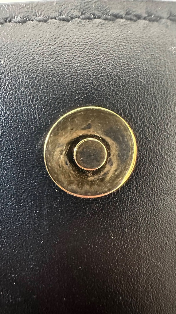 Saint Laurent Sac à bandoulière moyen Charlie