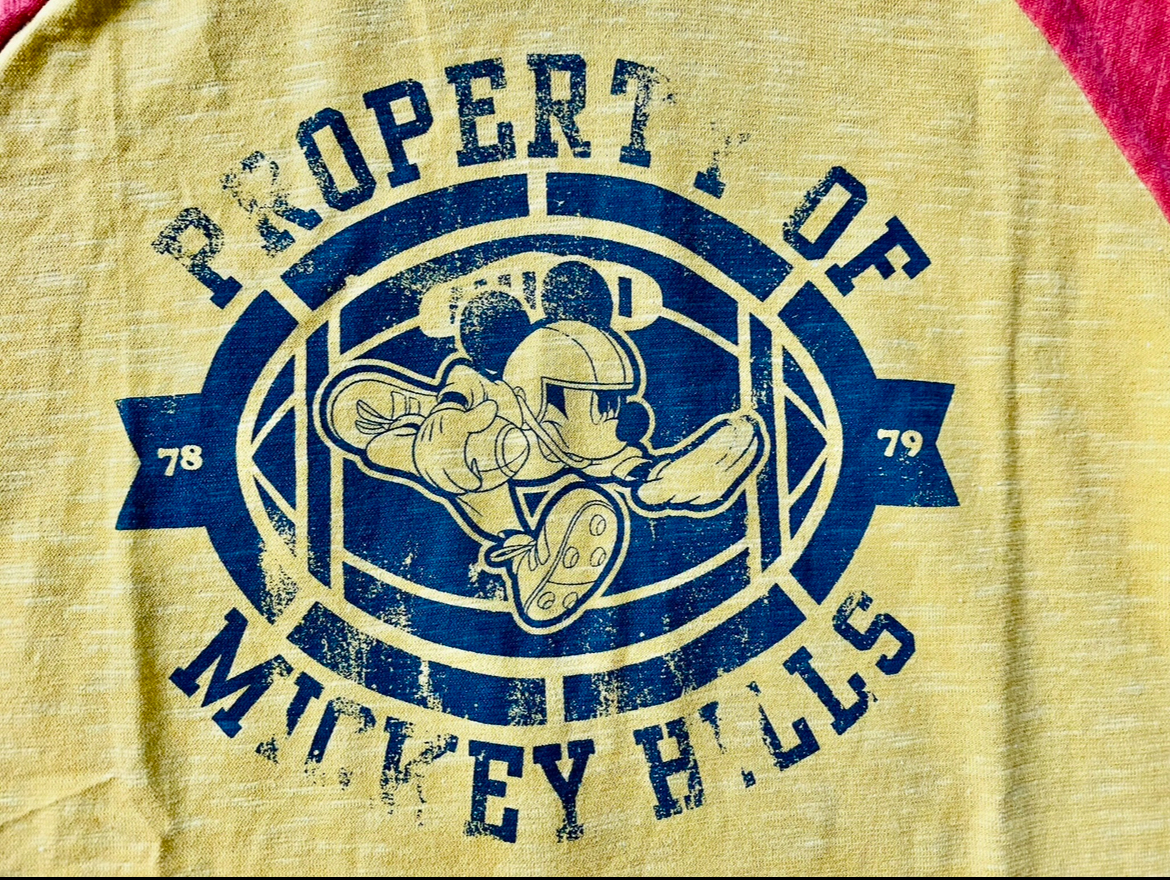 Dolce&Gabbana T-Shirt mit Kapuze, Print