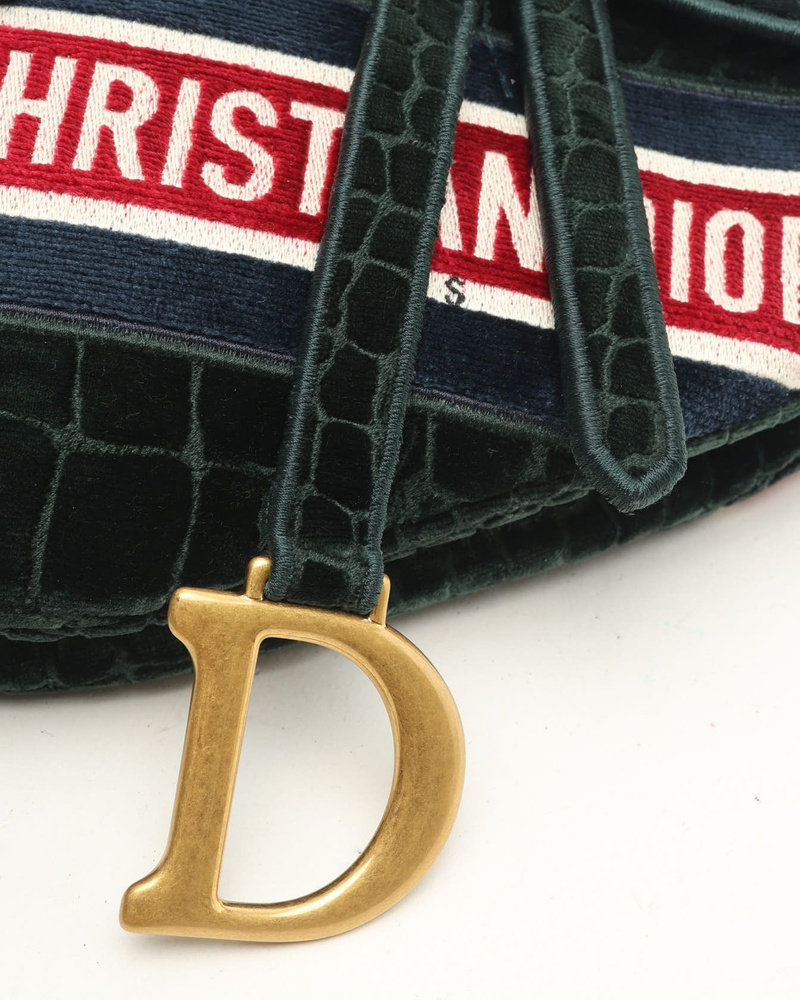 Christian Dior 2021 Embroided Croc Velvet Saddle Bag