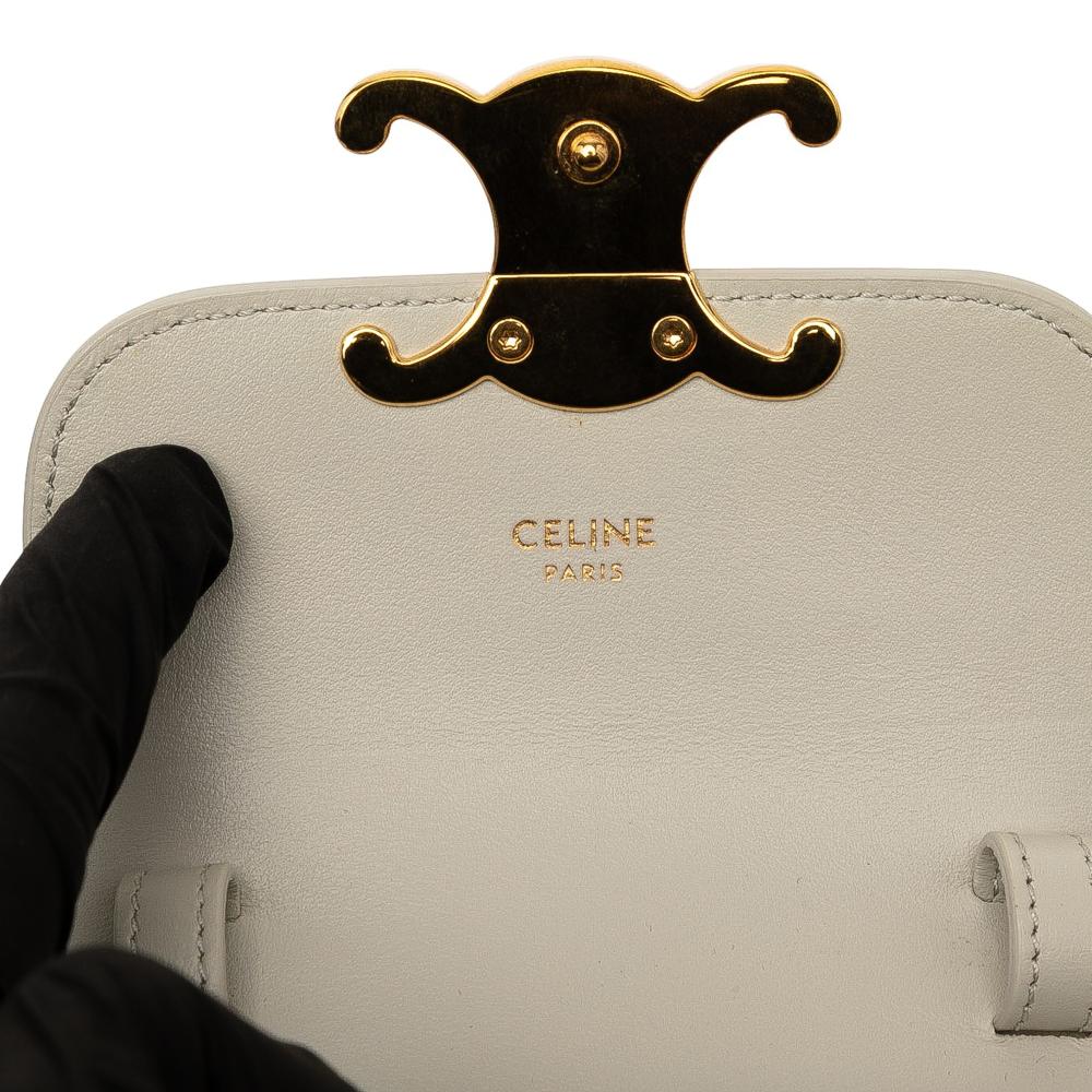 Celine AB Celine Brown Light Beige Calf Leather Mini skin Claude Crossbody Italy