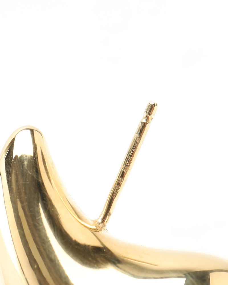 Bottega Veneta Small Drop Earrings