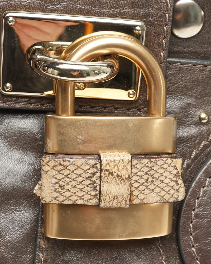 Chloé Medium Plexo Paddington Bag