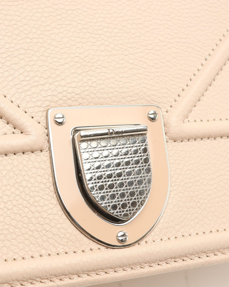 Christian Dior Diorama Bag