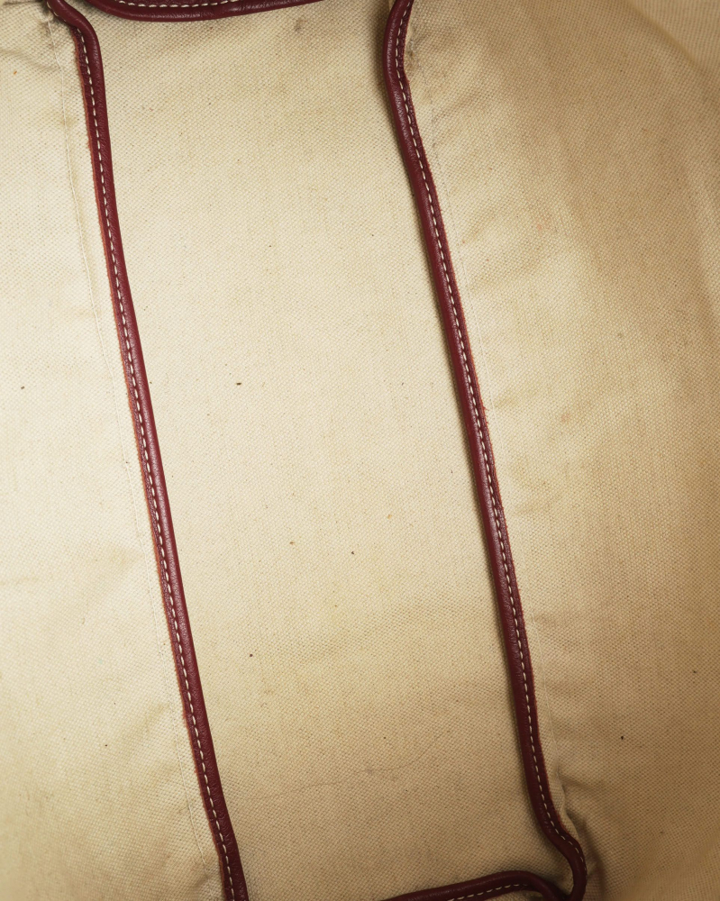 Goyard Saint Louis PM Tote Bag