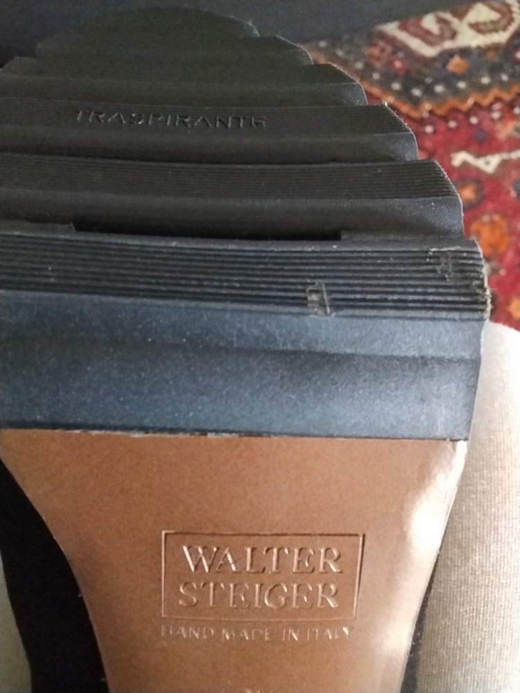 Walter Steiger Bottines
