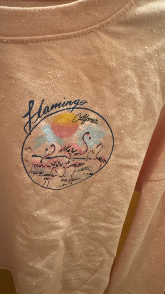 Nobody’s Child Cropped Sweater