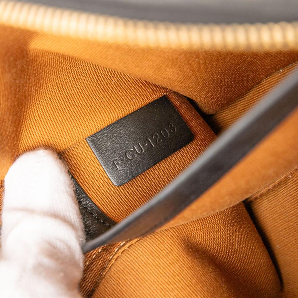 Celine AB Celine Brown Dark Brown Coated Canvas Fabric Medium Triomphe Logo Crossbody Italy