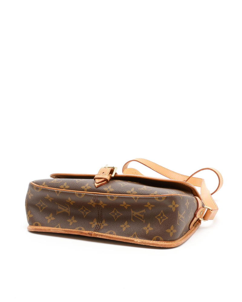 Louis Vuitton Monogram Sologne Bag