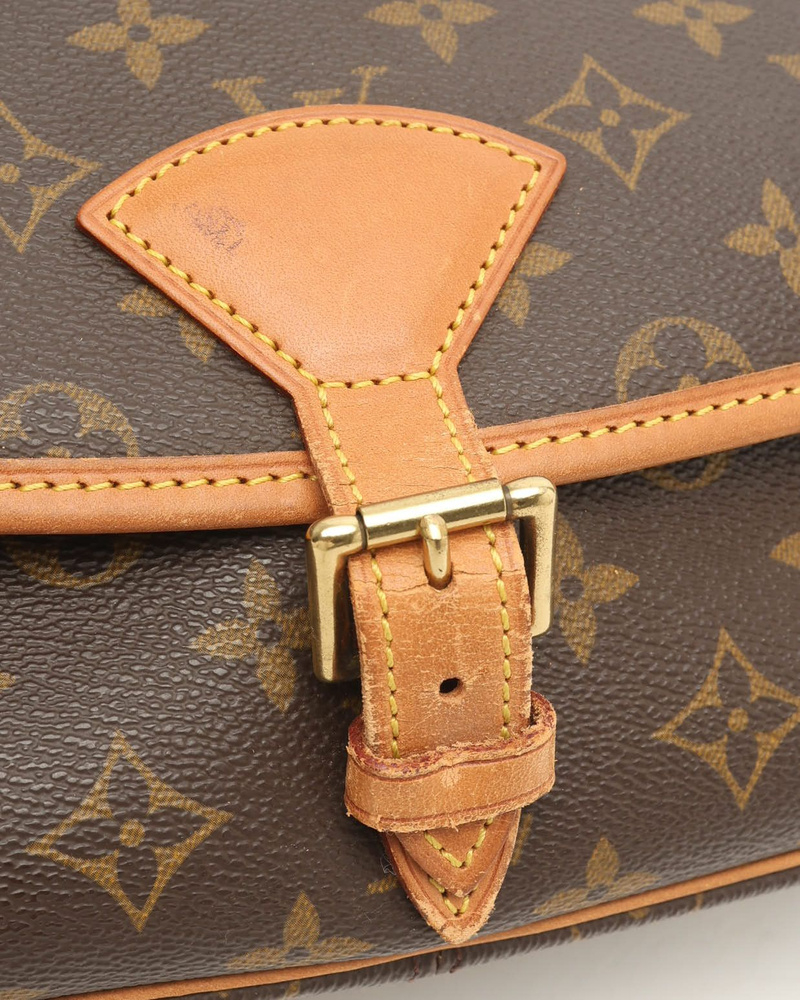 Louis Vuitton Monogram Sologne Bag