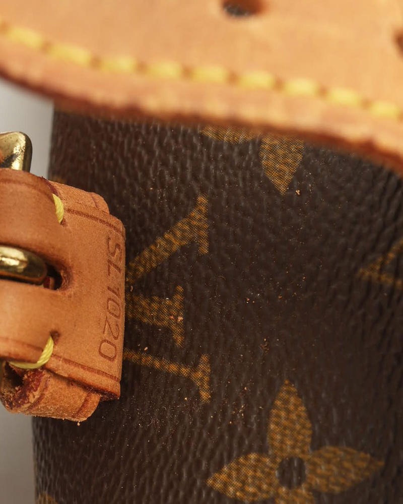 Louis Vuitton Monogram Sologne Bag