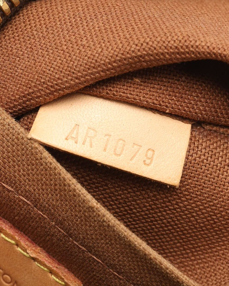 Louis Vuitton Monogram Thames GM Bag