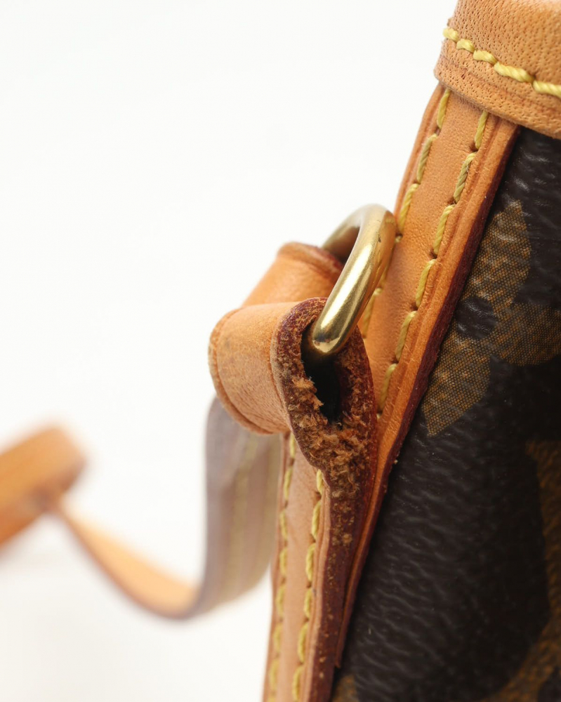 Louis Vuitton Monogram Nano Noé Bag