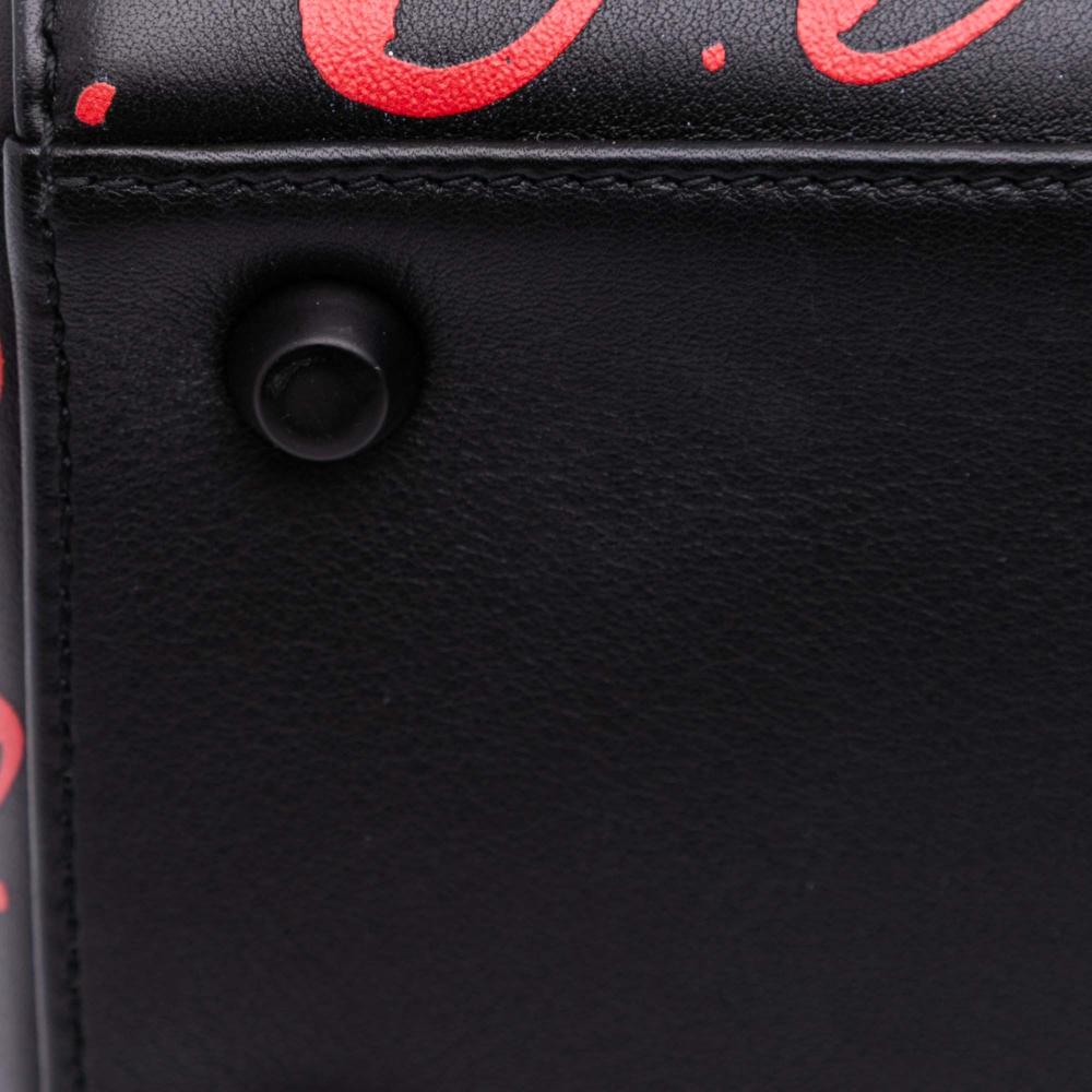 Christian Dior AB Dior Black Calf Leather Small Smooth skin Painted Heart Clover Lady Dior Italy