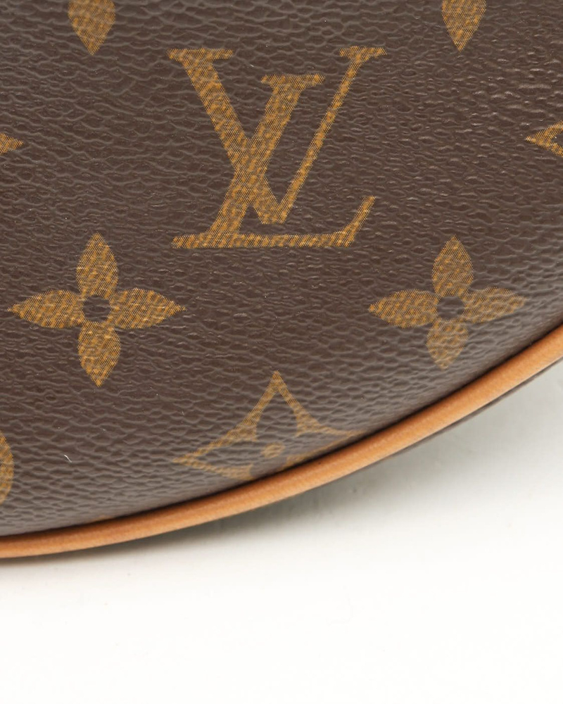 Louis Vuitton Monogram Loop Bag