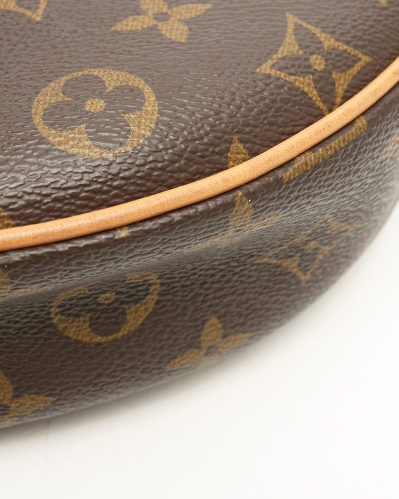 Louis Vuitton Monogram Loop Bag