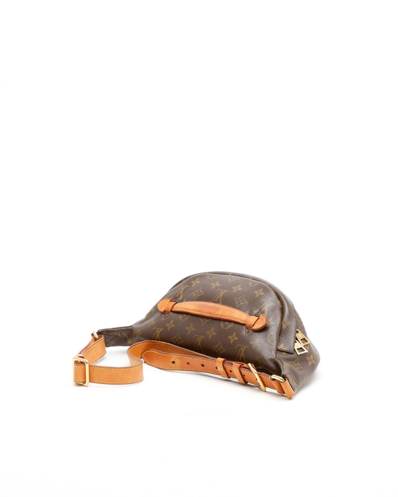 Louis Vuitton Monogram Bumbag