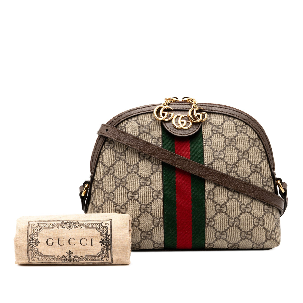 Gucci Ophidia GG Small Canvas Pouch Handbag GG Supreme