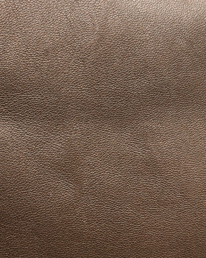 Loewe Flamenco Crossbody Bag