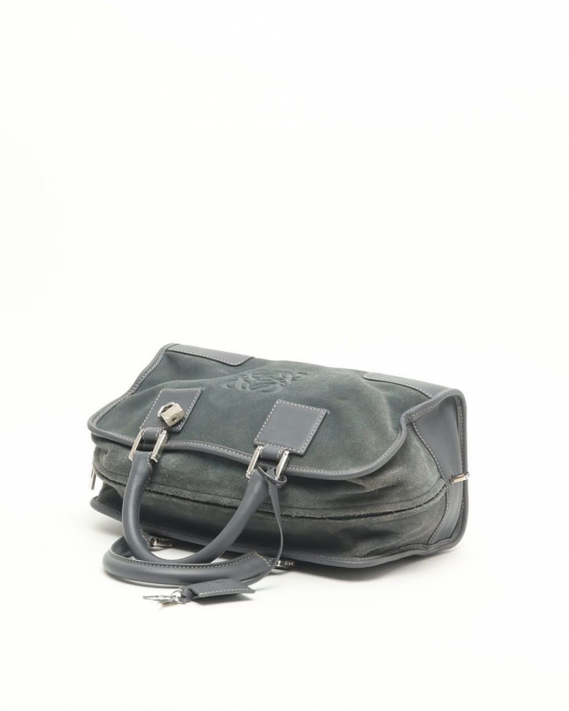 Loewe Suede Amazona Bag