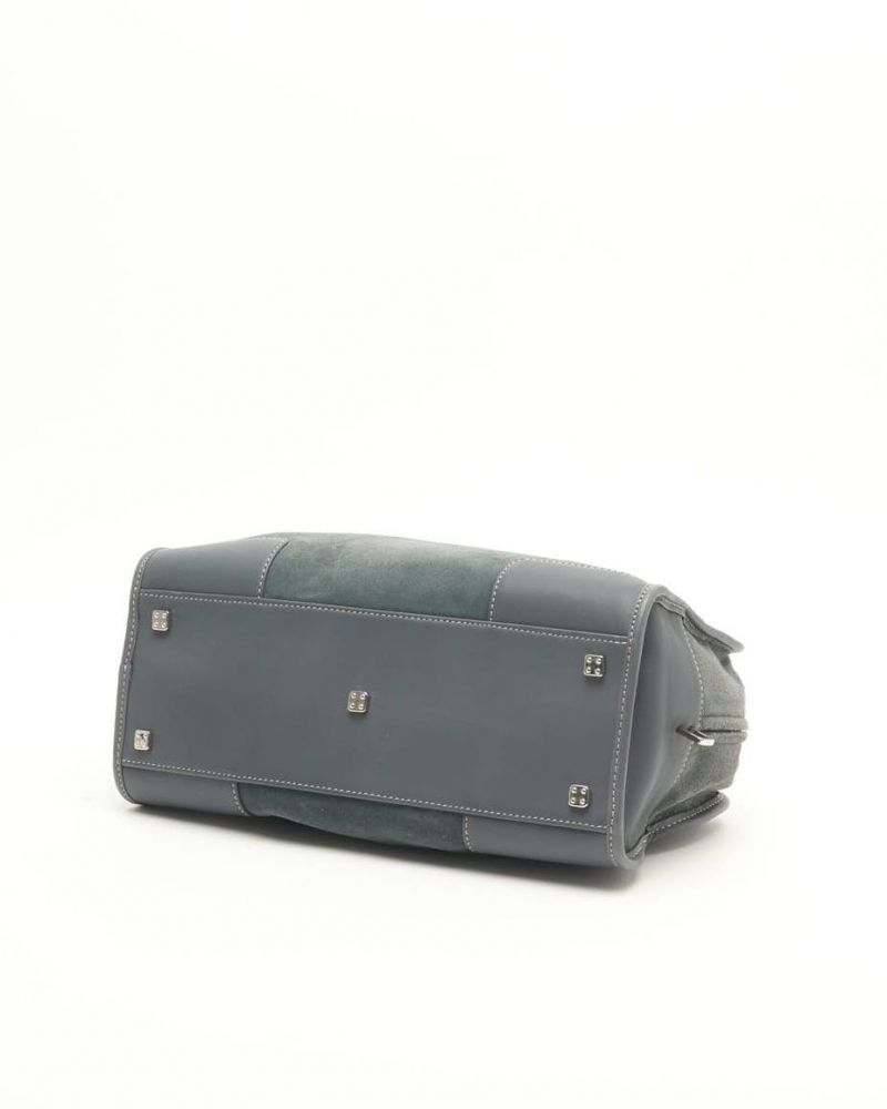 Loewe Suede Amazona Bag