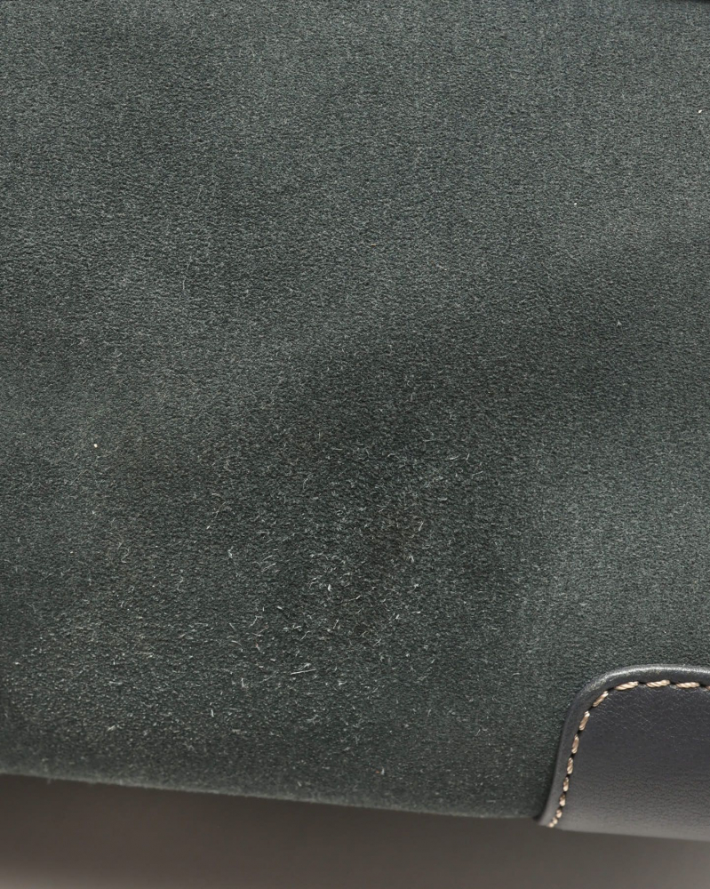 Loewe Suede Amazona Bag