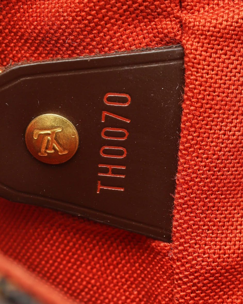 Louis Vuitton Damier Ebene Soho Backpack