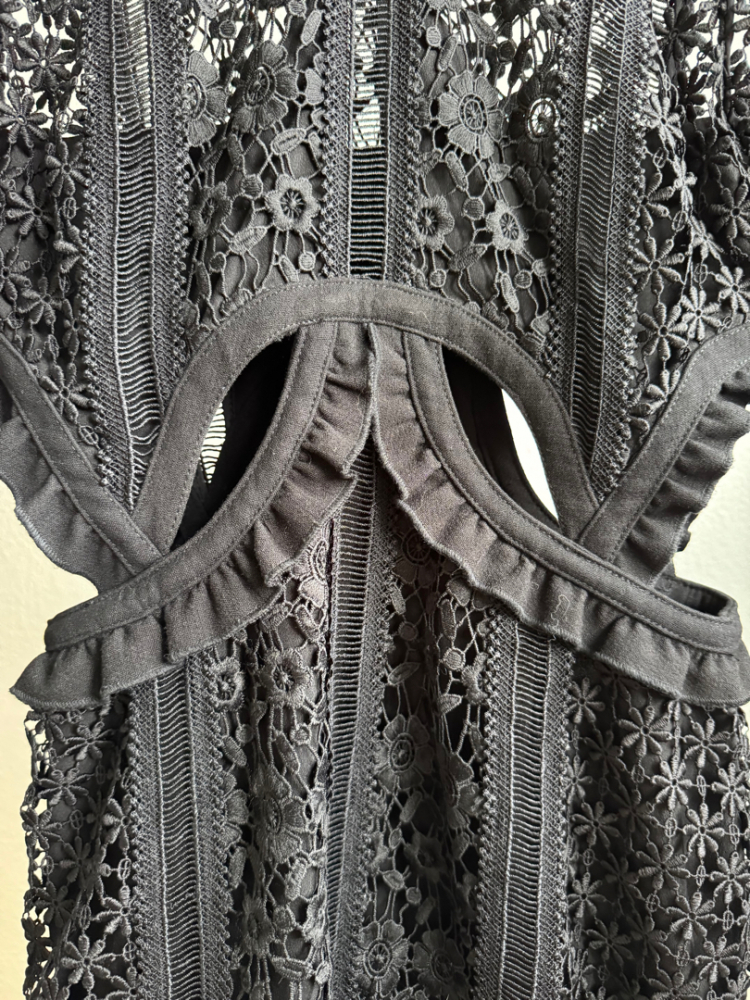 Self-Portrait Abendkleid