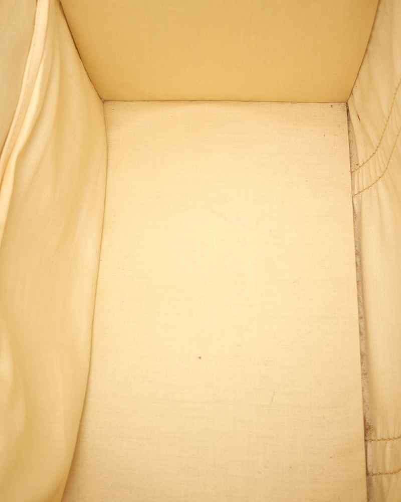 Louis Vuitton Sac Chien 40 Dog Carrier Bag