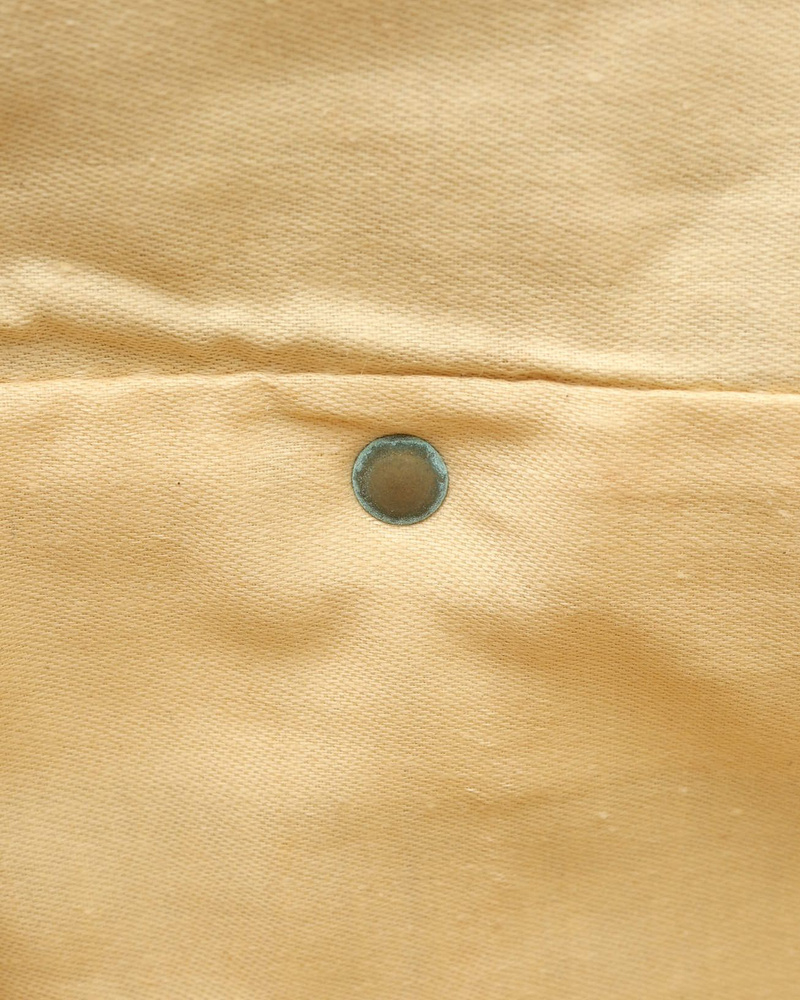 Louis Vuitton Sac Chien 40 Dog Carrier Bag