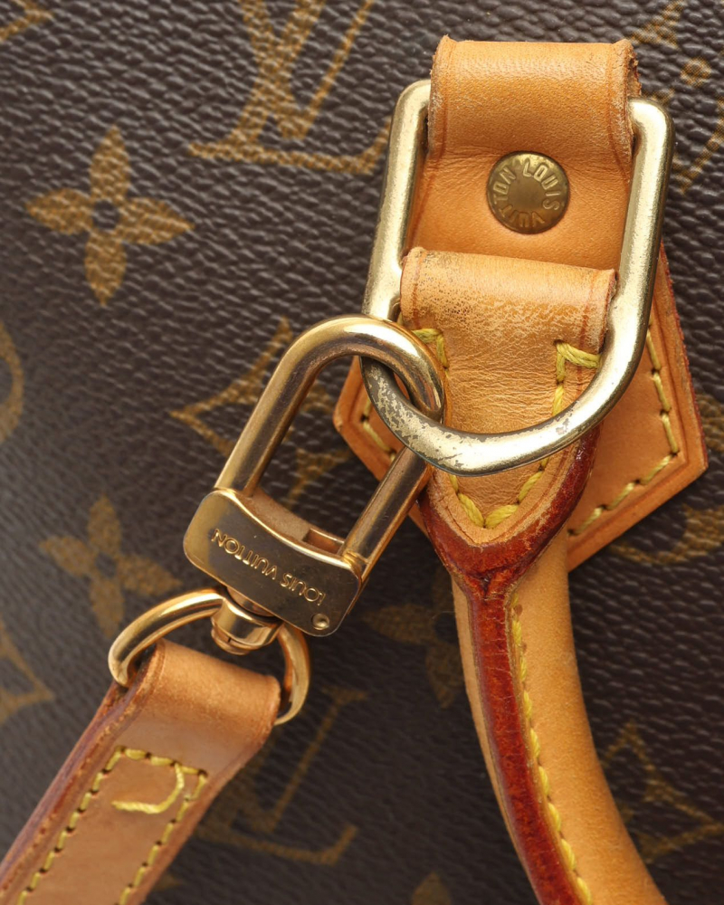 Louis Vuitton Monogram Alma PM Bag