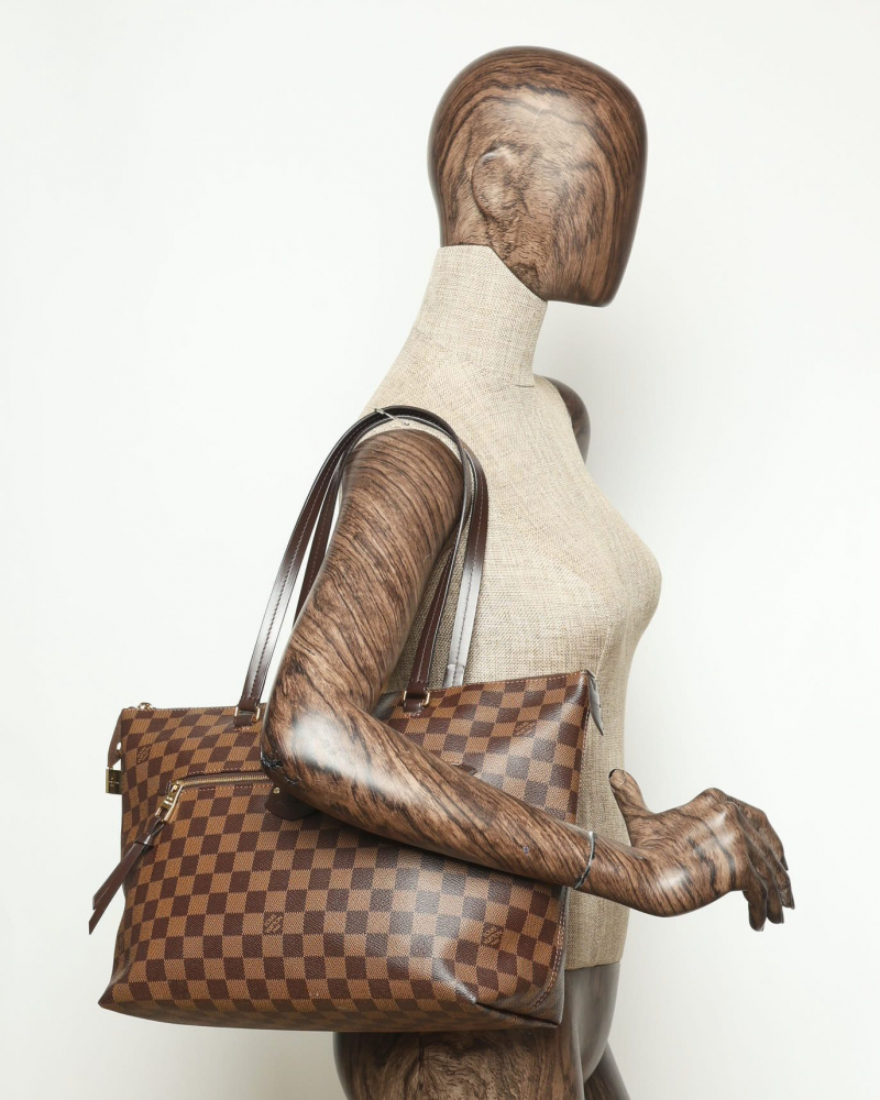 Louis Vuitton Damier Iéna PM Bag