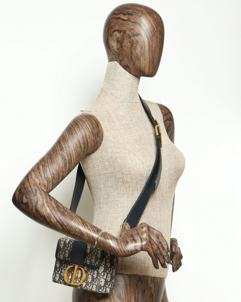 Christian Dior Oblique 30 Montaigne 2-in-1 Bag