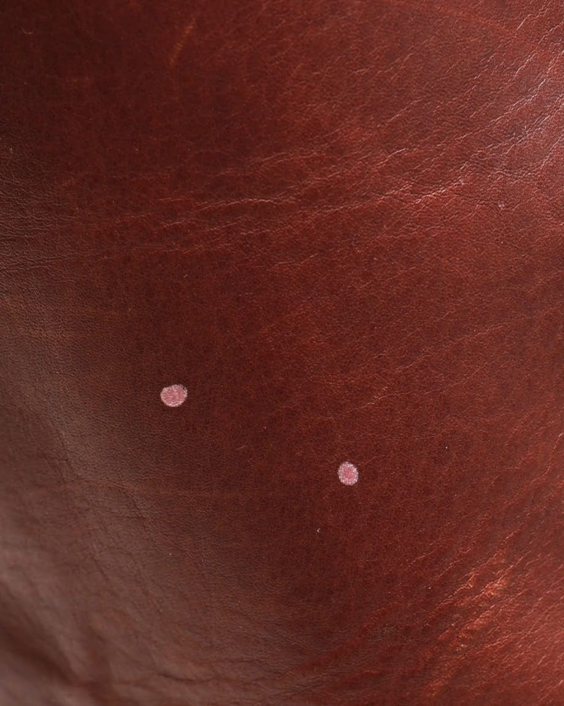 Celine Céline Luggage Phantom Bag