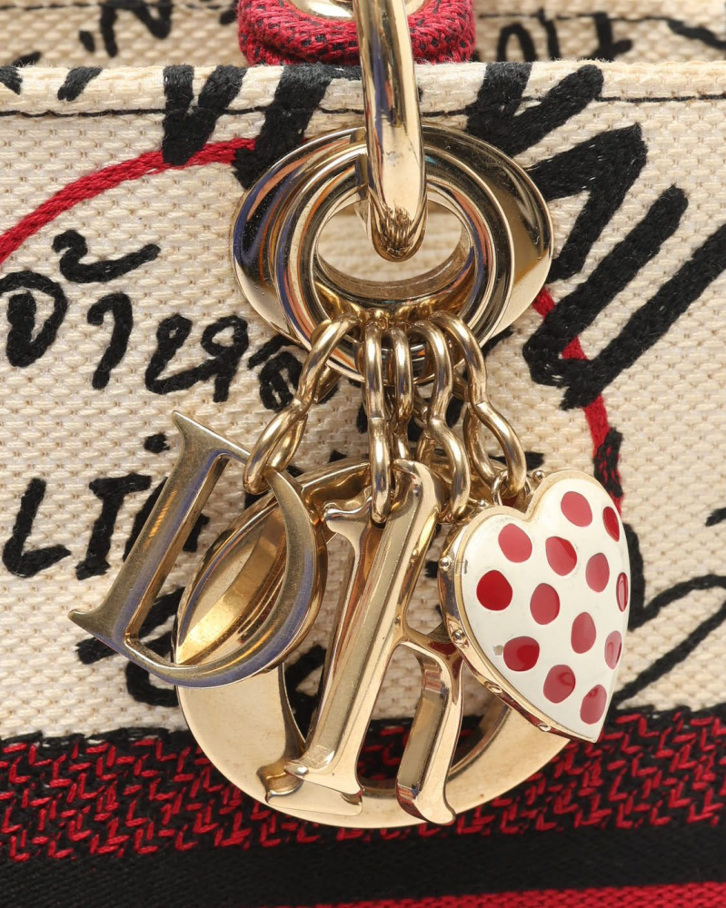 Christian Dior Medium Lady D-Lite Dioramour Graffiti Bag