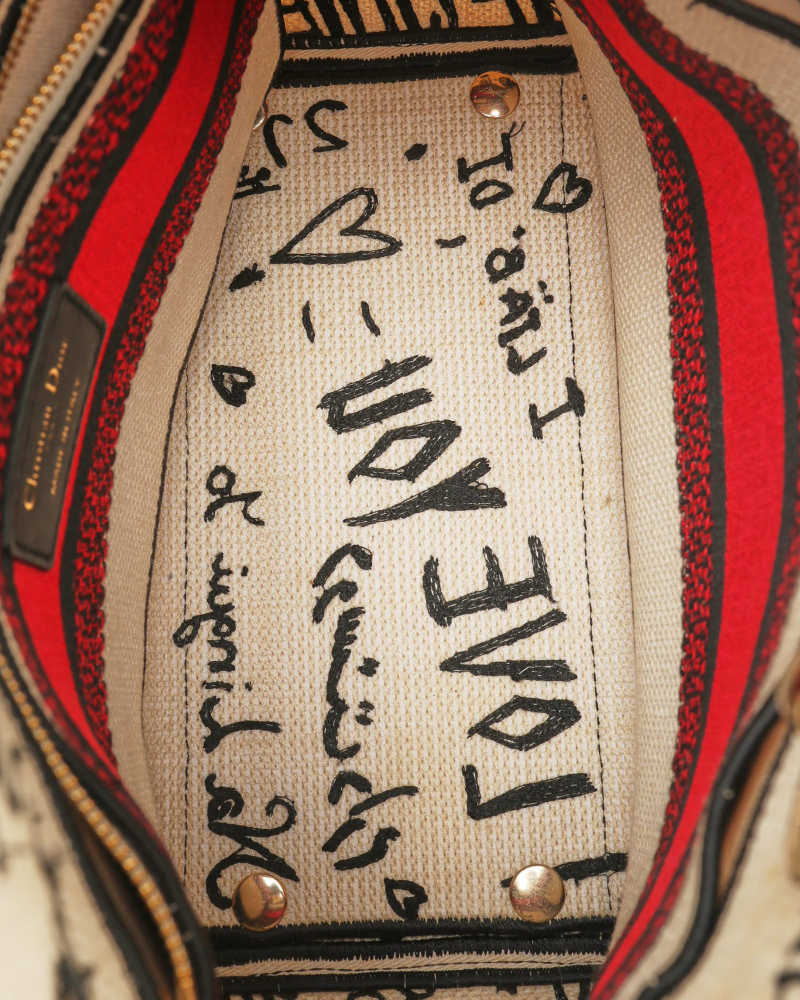 Christian Dior Medium Lady D-Lite Dioramour Graffiti Bag