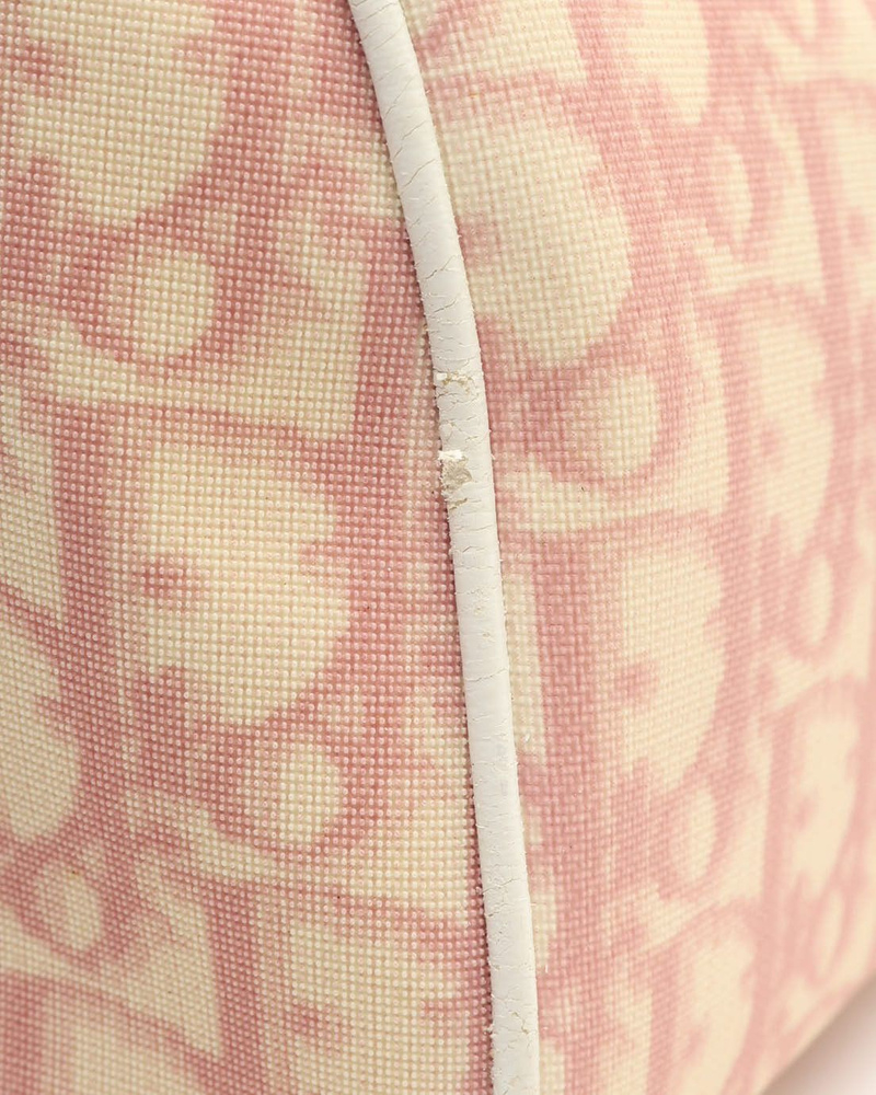 Christian Dior Trotter Boston Bag