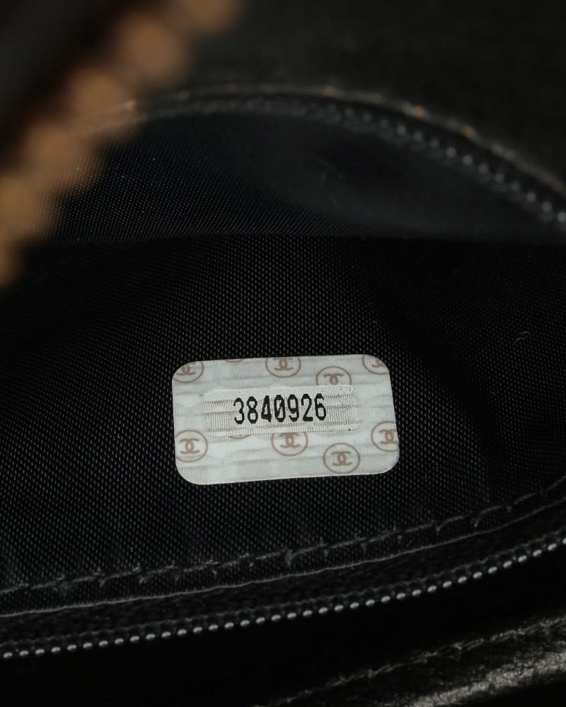 Chanel Quilted Patent Camera Bag